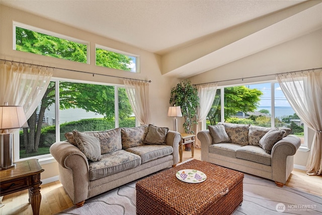2570 Island View Ln, Lummi Island, WA 98262 - living room with lofted ceiling and wood finished floors
