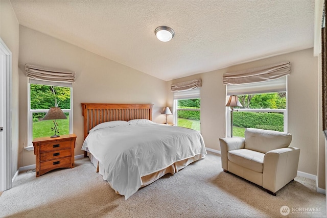 2570 Island View Ln, Lummi Island, WA 98262 - carpeted bedroom with vaulted ceiling, baseboards, and a textured ceiling
