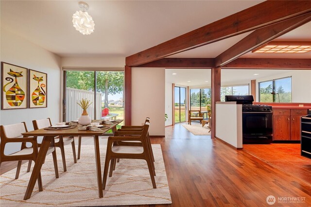 2877 N Nugent Rd N Unit M3, Lummi Island, WA 98262 - dining space with healthy amount of natural light, light wood-style floors, beamed ceiling, a chandelier, and recessed lighting