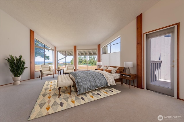 2877 N Nugent Rd N Unit M3, Lummi Island, WA 98262 - bedroom featuring access to exterior, carpet flooring, and a textured ceiling