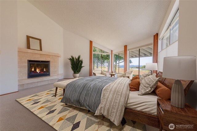 2877 N Nugent Rd N Unit M3, Lummi Island, WA 98262 - carpeted bedroom with a tiled fireplace, vaulted ceiling, access to outside, and a textured ceiling
