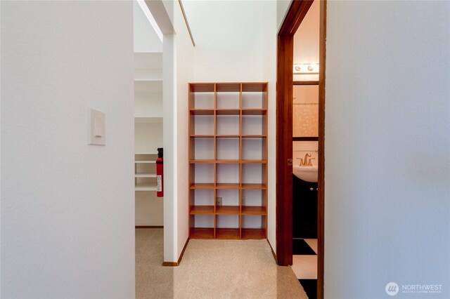 2877 N Nugent Rd N Unit M3, Lummi Island, WA 98262 - spacious closet featuring carpet and a sink