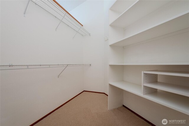 2877 N Nugent Rd N Unit M3, Lummi Island, WA 98262 - walk in closet with carpet