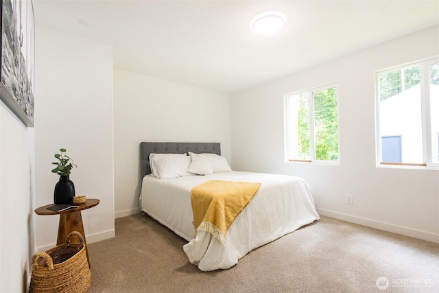 3333 228th St Unit 42, Bothell, WA 98021 - bedroom with multiple windows, carpet floors, and baseboards