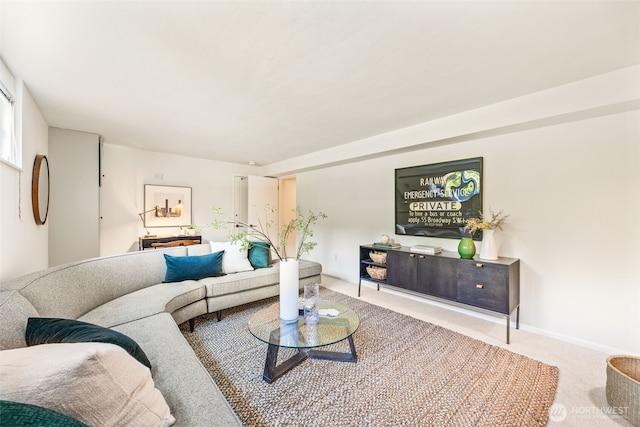 1309 NW Norcross Way, Seattle, WA 98177 - view of carpeted living room