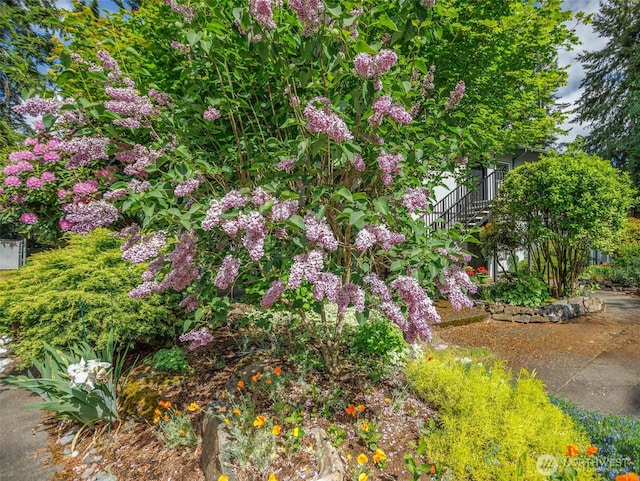 821 Essex Pl NE Unit 1-B, Lacey, WA 98516 - exterior view