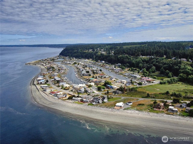 3596 Shell St, Greenbank, WA 98253 - aerial view of property's location with a large body of water and a heavily wooded area
