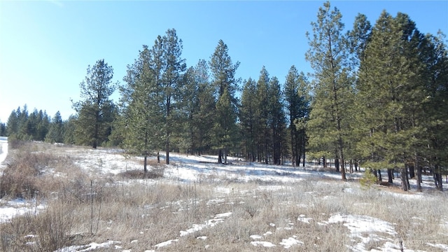 0LOT315 Lost Creek Way, Tonasket, WA 98855