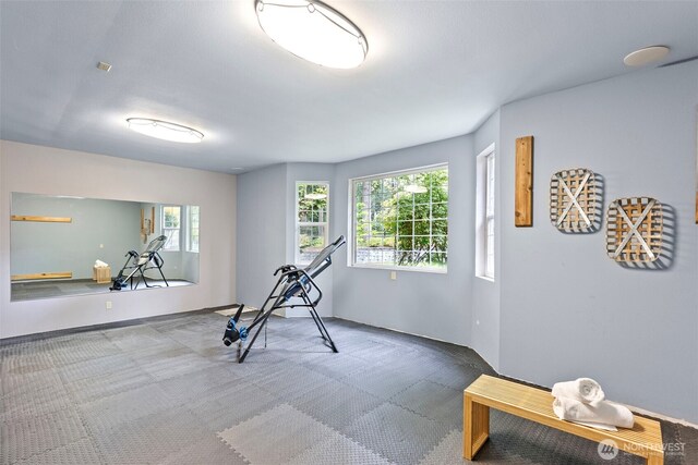 20460 Noll Rd NE, Poulsbo, WA 98370 - workout room featuring carpet