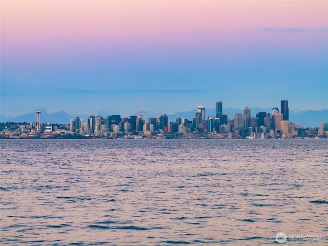 4864 Rockaway Beach Rd NE, Bainbridge Island, WA 98110 - water view with skyline
