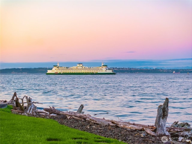 4864 Rockaway Beach Rd NE, Bainbridge Island, WA 98110 - water view