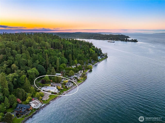 4864 Rockaway Beach Rd NE, Bainbridge Island, WA 98110 - aerial view at dusk of a water view