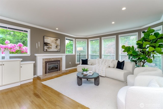 11633 132nd Ct NE, Redmond, WA 98052 - living room with ornamental molding, light wood finished floors, plenty of natural light, baseboards, and recessed lighting