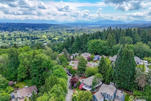 11633 132nd Ct NE, Redmond, WA 98052 - aerial view of residential area with a heavily wooded area and a mountainous background