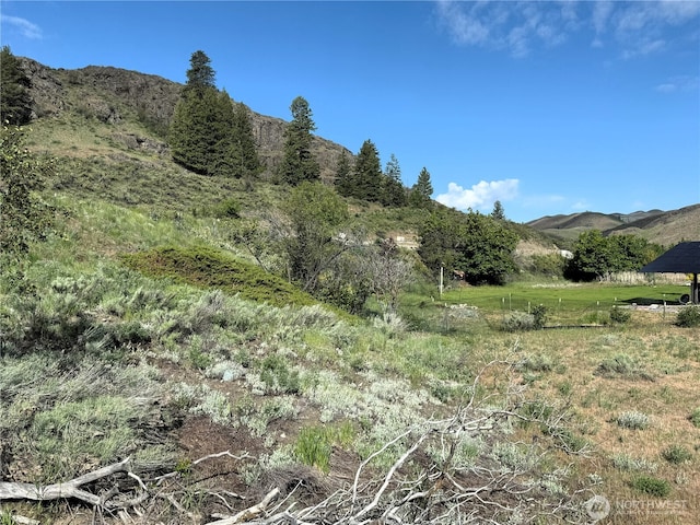 6 Isabella Ln, Twisp, WA 98856
