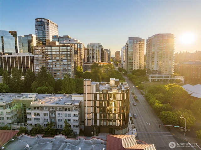 999 110th Ave NE Unit 600, Bellevue, WA 98004 - city view