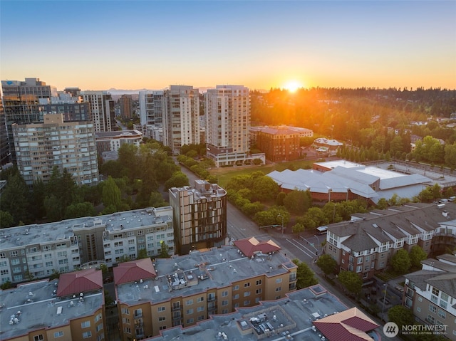 999 110th Ave NE Unit 600, Bellevue, WA 98004 - aerial view