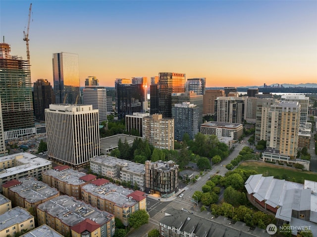 999 110th Ave NE Unit 600, Bellevue, WA 98004 - city view