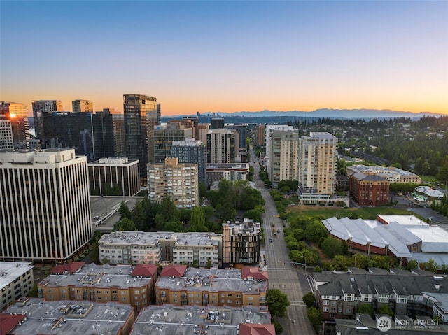 999 110th Ave NE Unit 600, Bellevue, WA 98004 - city view