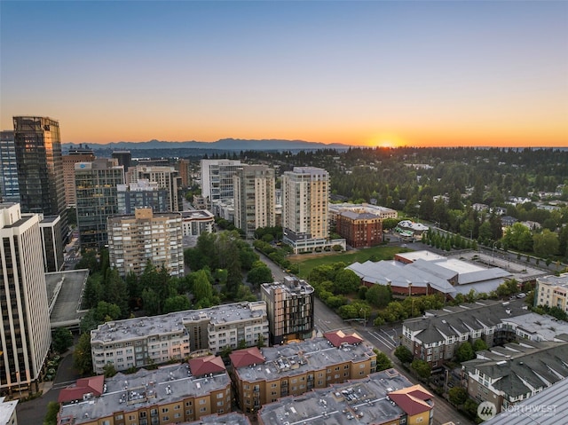 999 110th Ave NE Unit 600, Bellevue, WA 98004 - aerial view at dusk of a city view