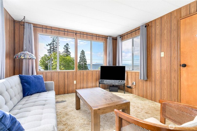 5142 Seaview Dr, Blaine, WA 98230 - living area with wood walls, carpet, and healthy amount of natural light