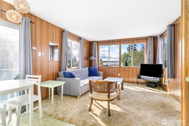 5142 Seaview Dr, Blaine, WA 98230 - living area featuring wood walls and light carpet