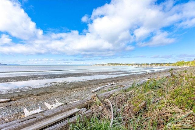 5142 Seaview Dr, Blaine, WA 98230 - water view with local beach