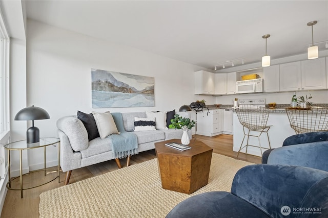 2524 Boyer Ave E Unit 108, Seattle, WA 98102 - living room featuring light wood-style flooring