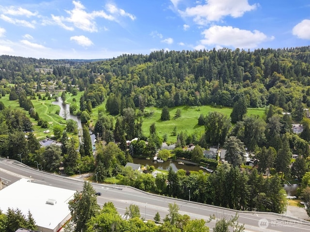8922 NE 173rd Pl Unit A, Bothell, WA 98011 - bird's eye view of a heavily wooded area