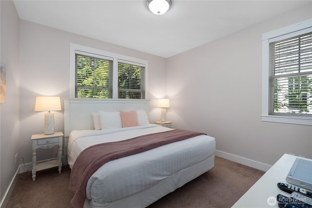 34 Seastar Ln, Pacific Beach, WA 98571 - bedroom with carpet and baseboards