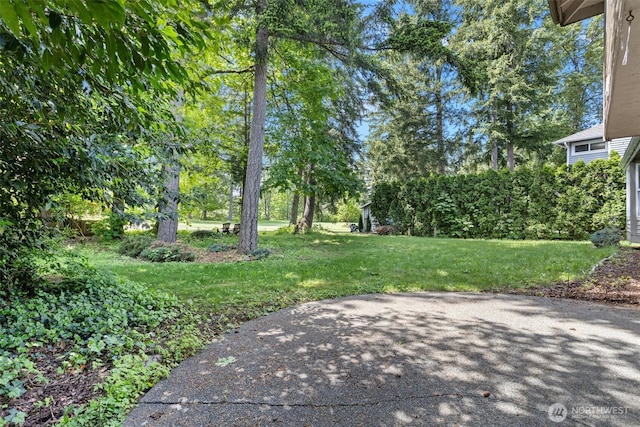 26005 225th Ct SE, Maple Valley, WA 98038 - view of grassy yard