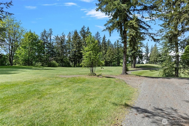 26005 225th Ct SE, Maple Valley, WA 98038 - view of grassy yard