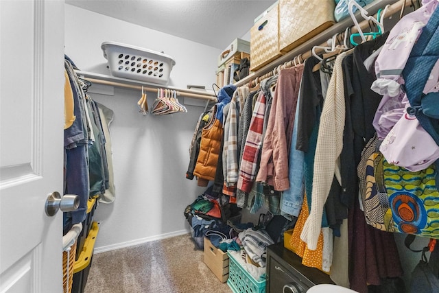 140 E Mountain View Dr, Allyn, WA 98524 - spacious closet with carpet floors