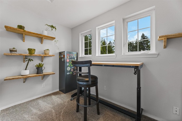 140 E Mountain View Dr, Allyn, WA 98524 - carpeted office space featuring baseboards