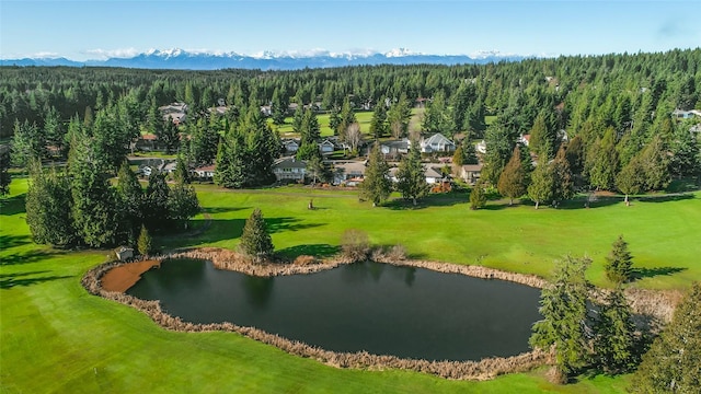 140 E Mountain View Dr, Allyn, WA 98524 - view of property's community featuring a view of trees and a water and mountain view
