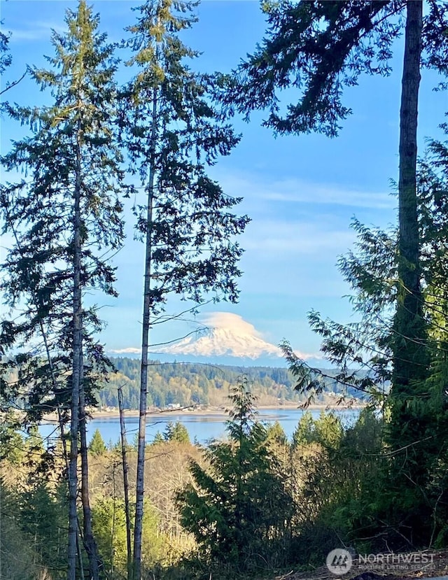 140 E Mountain View Dr, Allyn, WA 98524 - water view featuring a heavily wooded area