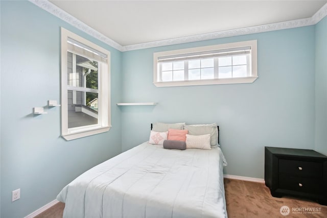 2529 10th Ct SE, Olympia, WA 98501 - bedroom with carpet floors and baseboards