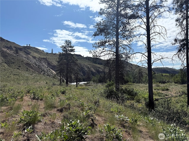 1714TBD State Route 153rd Hwy, Carlton, WA 98814