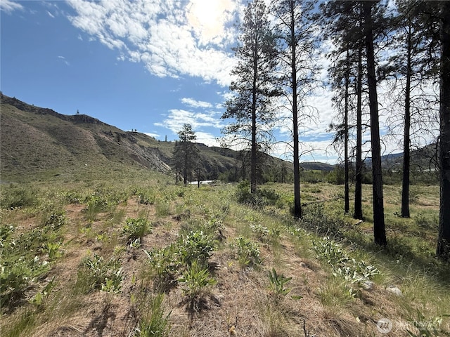 1714TBD State Route 153rd Hwy, Carlton, WA 98814