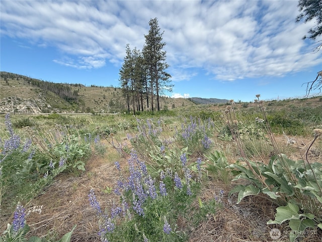 1714TBD State Route 153rd Hwy, Carlton, WA 98814