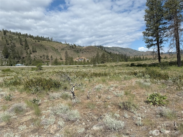 1714TBD State Route 153rd Hwy, Carlton, WA 98814