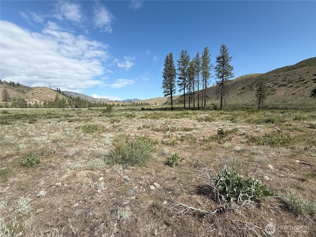 1714TBD State Route 153rd Hwy, Carlton, WA 98814