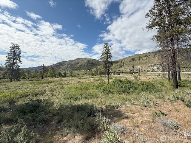 1714TBD State Route 153rd Hwy, Carlton, WA 98814