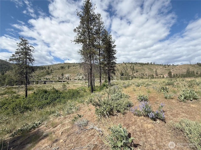 1714TBD State Route 153rd Hwy, Carlton, WA 98814
