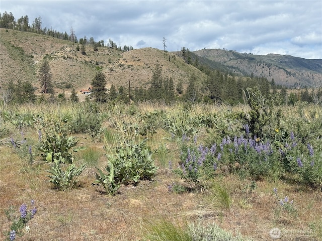 1714TBD State Route 153rd Hwy, Carlton, WA 98814