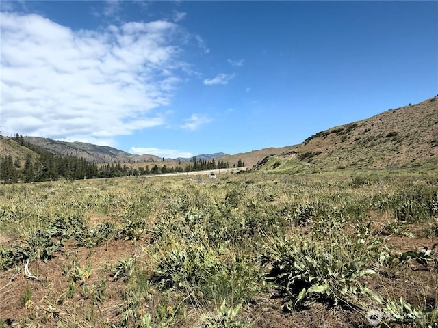 1714TBD State Route 153rd Hwy, Carlton, WA 98814