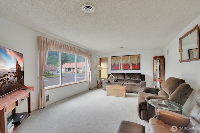 284 Division Ave, Morton, WA 98356 - carpeted living area with a textured ceiling
