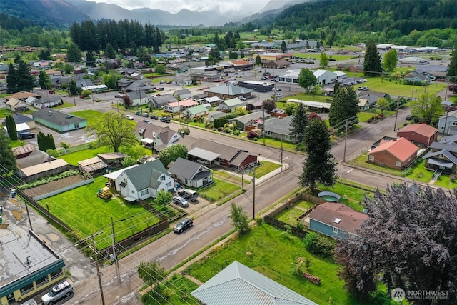 284 Division Ave, Morton, WA 98356 - aerial view of residential area featuring mountains and a forest
