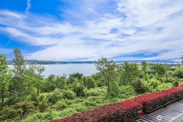 8005 Sand Point Way NE Unit A45, Seattle, WA 98115 - water view