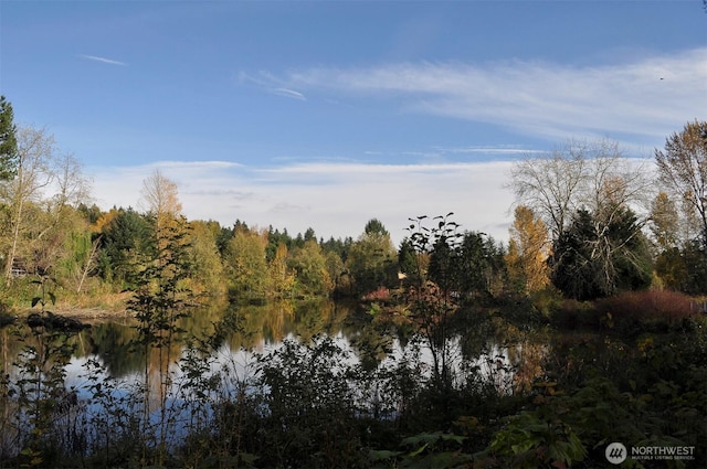 8005 Sand Point Way NE Unit A45, Seattle, WA 98115 - water view with a forest